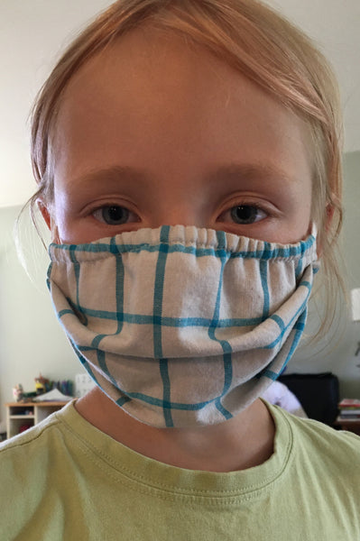 P1 Pleated Face Mask